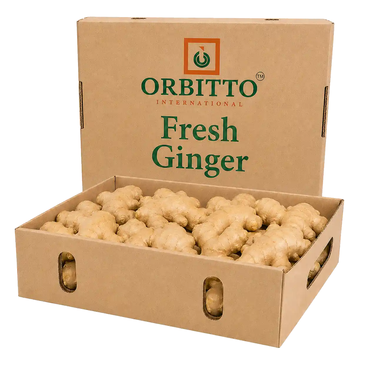 Ginger
