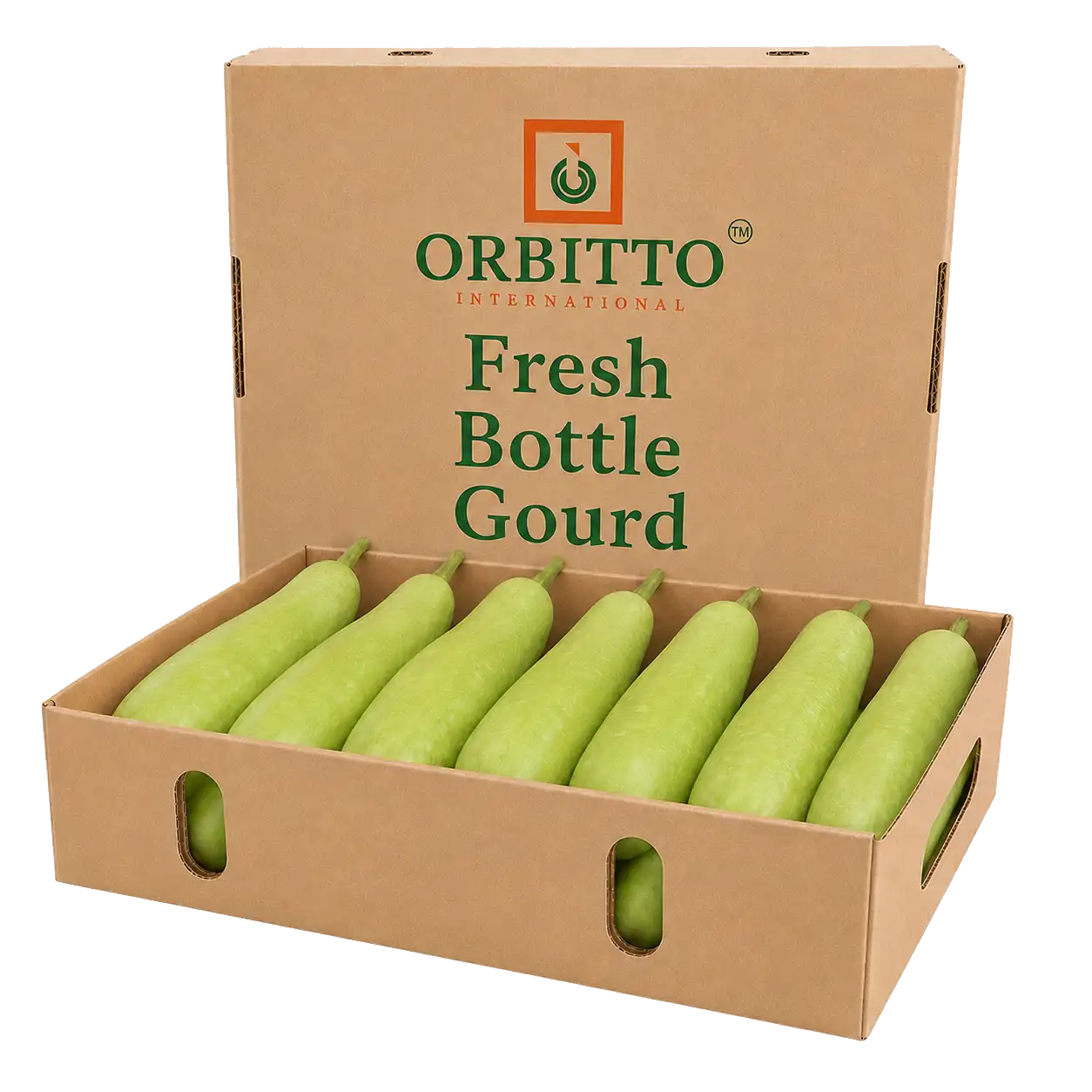 Bottle Gourd