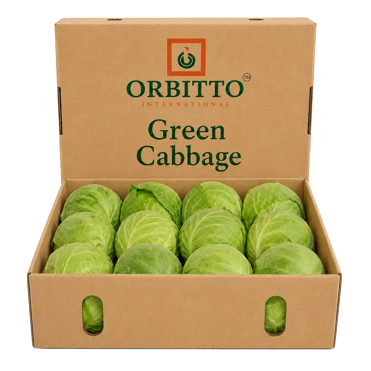 Cabbage