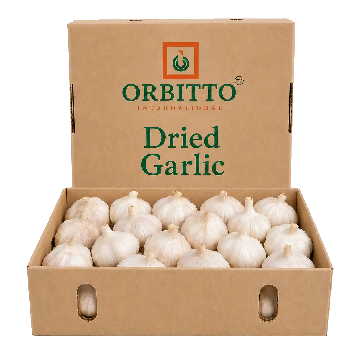 Garlic