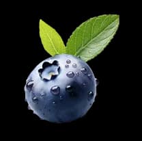 Blueberry