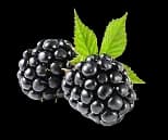 Blackberry